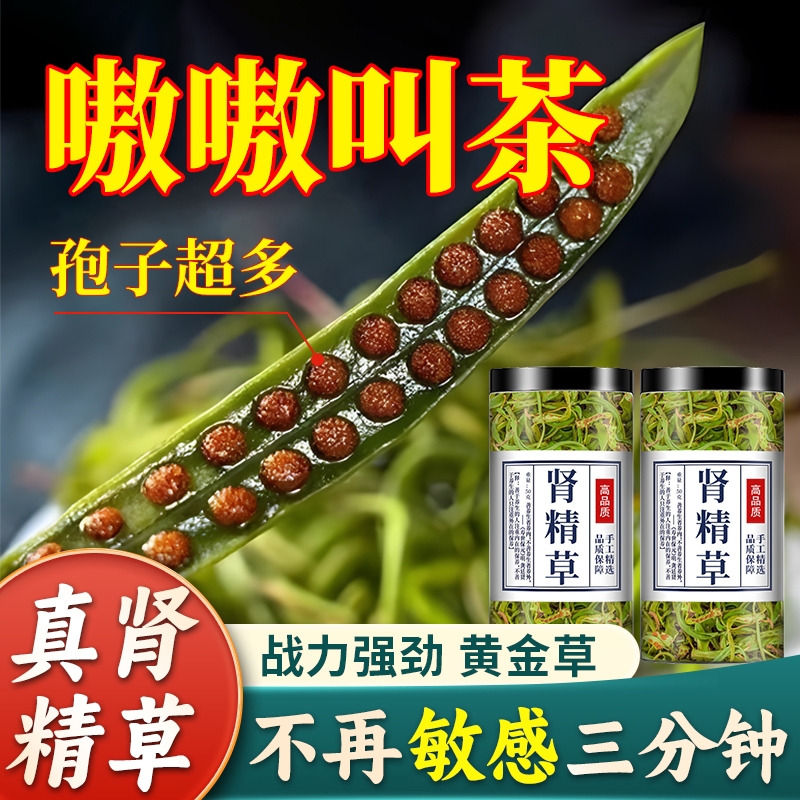 长白山黄金草正品官方旗舰店小叶肾精草产地嗷嗷叫东北化石草直发