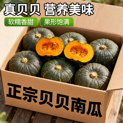 正宗贝贝南瓜新鲜蔬菜板栗味小南瓜孕妇宝宝辅食栗面粉糯香甜自提