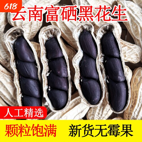富硒黑花生带壳2025云南普洱特产晒干生熟花生米健康七彩年货黑皮