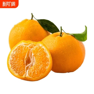 四川甘平柑橘皇后产地直发柑桔包邮新鲜水果甘平橘子年货节