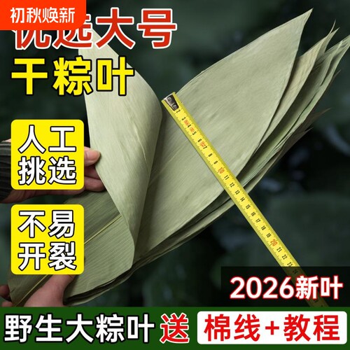 干粽叶大码粽子叶免邮新鲜麻竹箬叶商包粽子材料端午批发送绳叶子