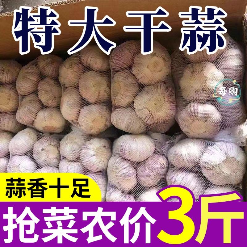 2024山东紫皮大蒜头干蒜红皮香蒜瓣特大干批发腌制糖醋新鲜新蒜头