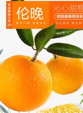 现采春橙伦晚脐橙产地直发