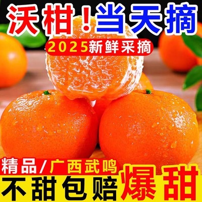 广西沃柑新鲜水果当季整箱时令现摘斤沙糖蜜橘砂糖柑橘桔子橘5斤