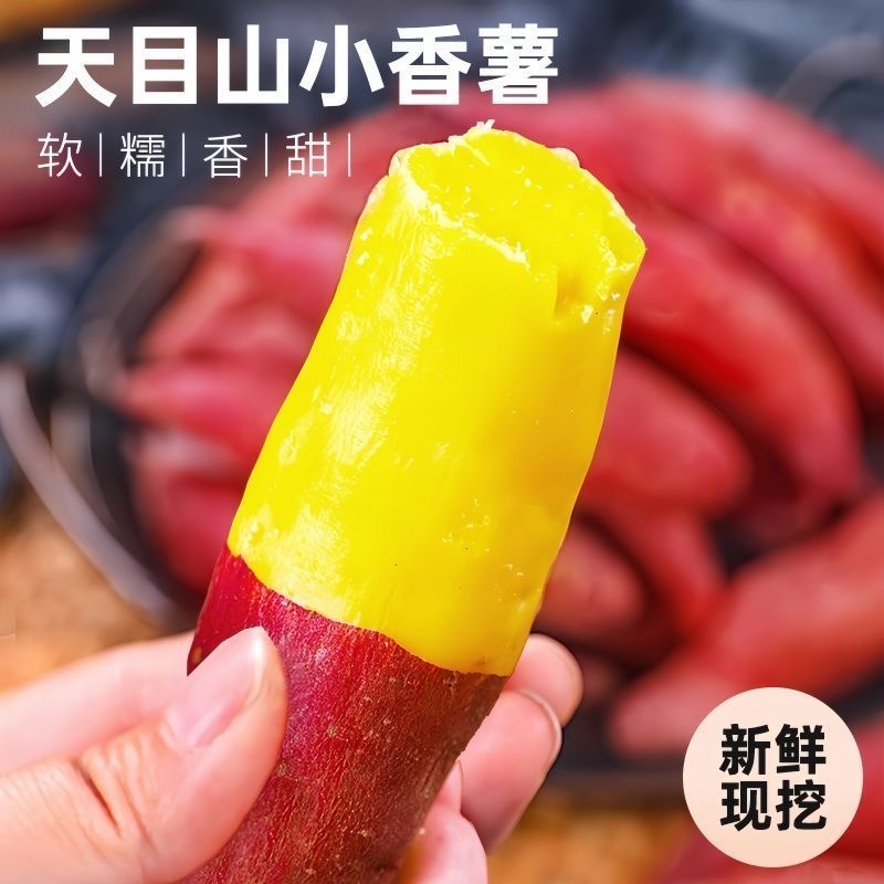 正宗天目农家板栗番薯