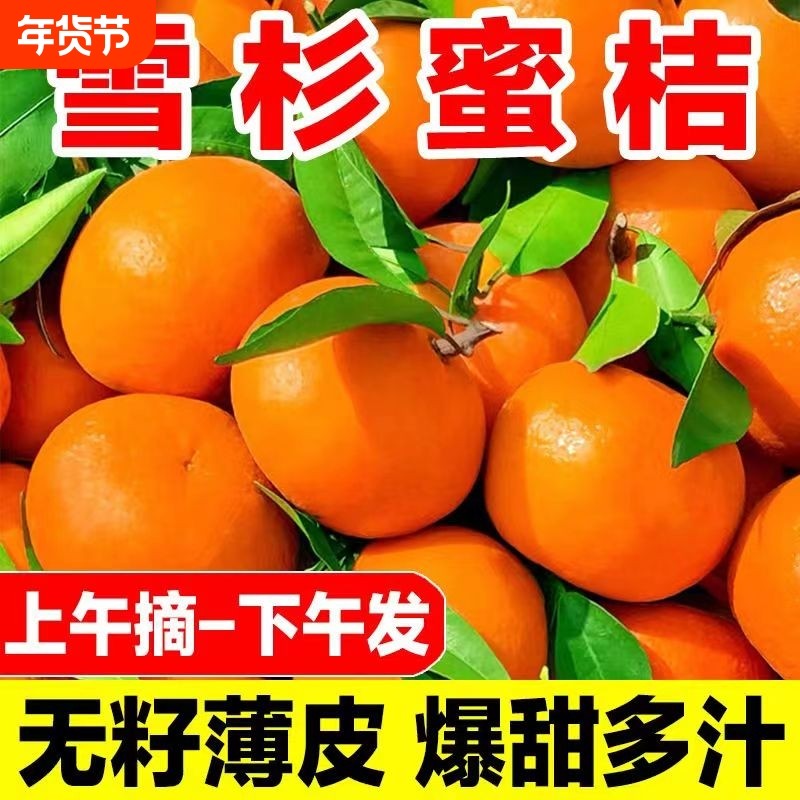 精选！雪杉蜜桔雪杉小蜜橘黄桔子橘子蜜桔柑橘应季新鲜水果包邮,水产肉类/新鲜蔬果/熟食,桔子,淘宝优惠券,粉丝福利购,淘宝优惠卷