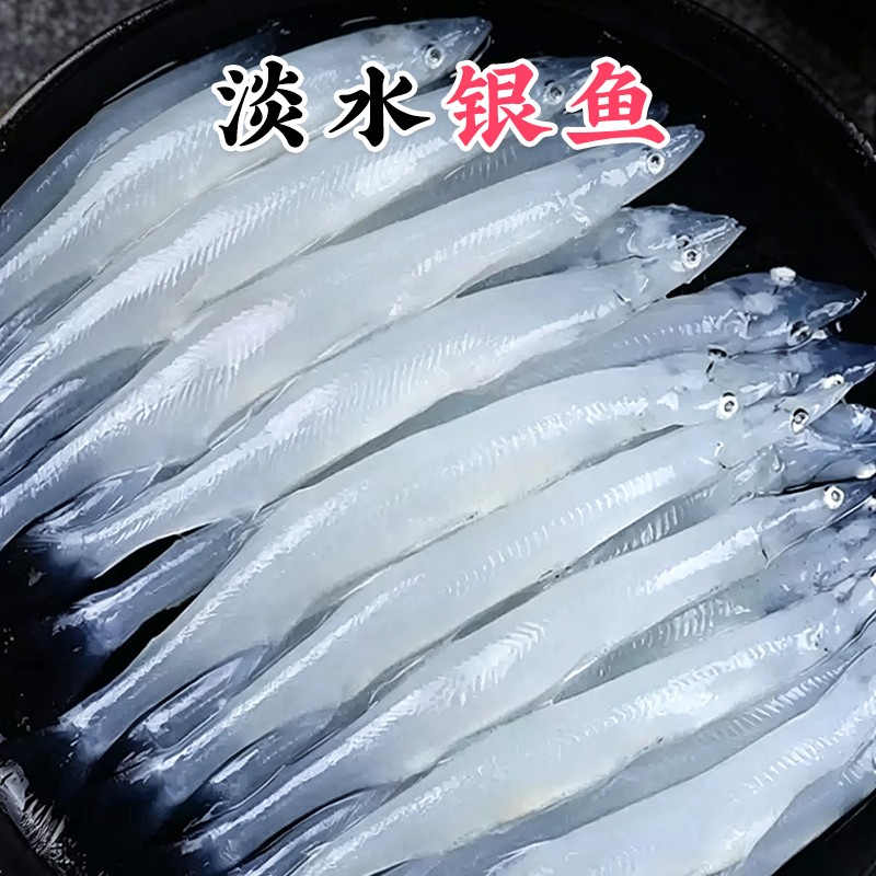 新鲜天然银鱼无刺无鳞高钙低脂苏州特产淡水整箱包邮冷冻野生