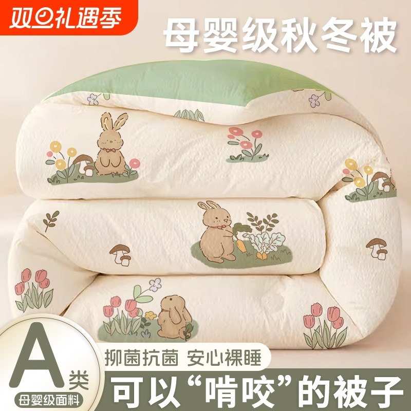 被子冬被棉被芯四季通用宿舍单人学生保暖春秋空调被冬季加厚大豆