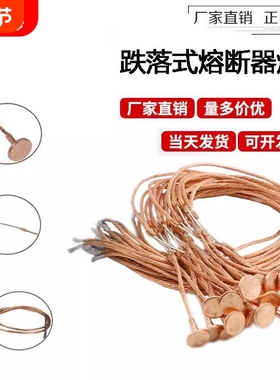 高压熔丝10-12KV国标户外跌落式熔断器保险丝带扣RW11/15-3A-400A