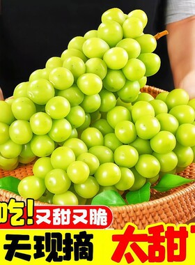 正宗阳光玫瑰葡萄新鲜水果5斤大果脆甜无籽晴王香印青提当季整箱