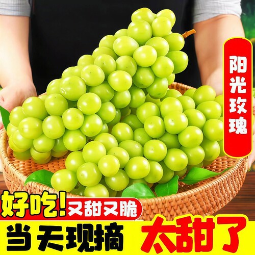 正宗阳光玫瑰葡萄新鲜水果5斤大果脆甜无籽晴王香印青提当季整箱