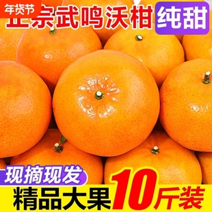 广西沃柑10斤橘子新鲜水果一级沙糖砂糖柑橘包邮现摘纯甜大果清甜