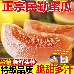 甘肃民勤蜜瓜黄皮红肉甜瓜4-5斤
