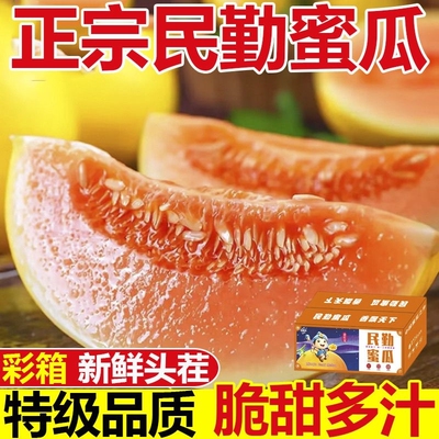 甘肃民勤蜜瓜黄皮甜瓜新鲜水果陕西金红宝整箱哈密瓜香瓜包邮黄金