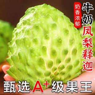 新鲜正宗释迦果佛头果整箱礼盒装凤梨牛奶番荔枝现摘当季应季水果