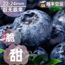 顺丰空运云南蓝莓鲜果新鲜水果当季 大果高山整箱高端花香孕妇 包邮