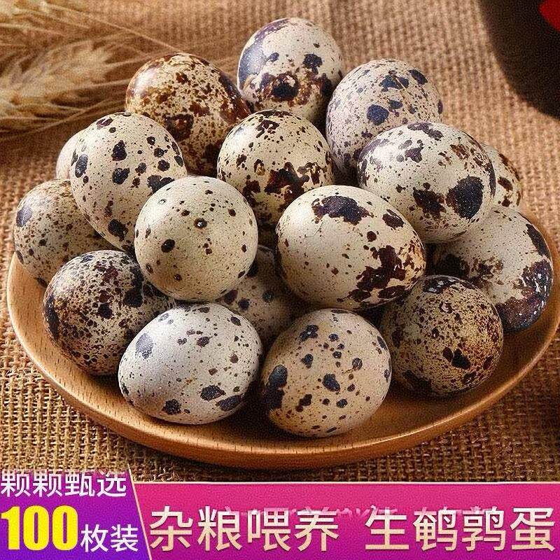 产地严选无抗新鲜鹌鹑蛋生蛋新鲜生的农家散养营养宝宝辅食100枚