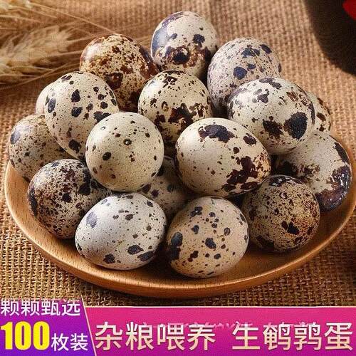 产地严选无抗新鲜鹌鹑蛋生蛋新鲜生的农家散养营养宝宝辅食100枚