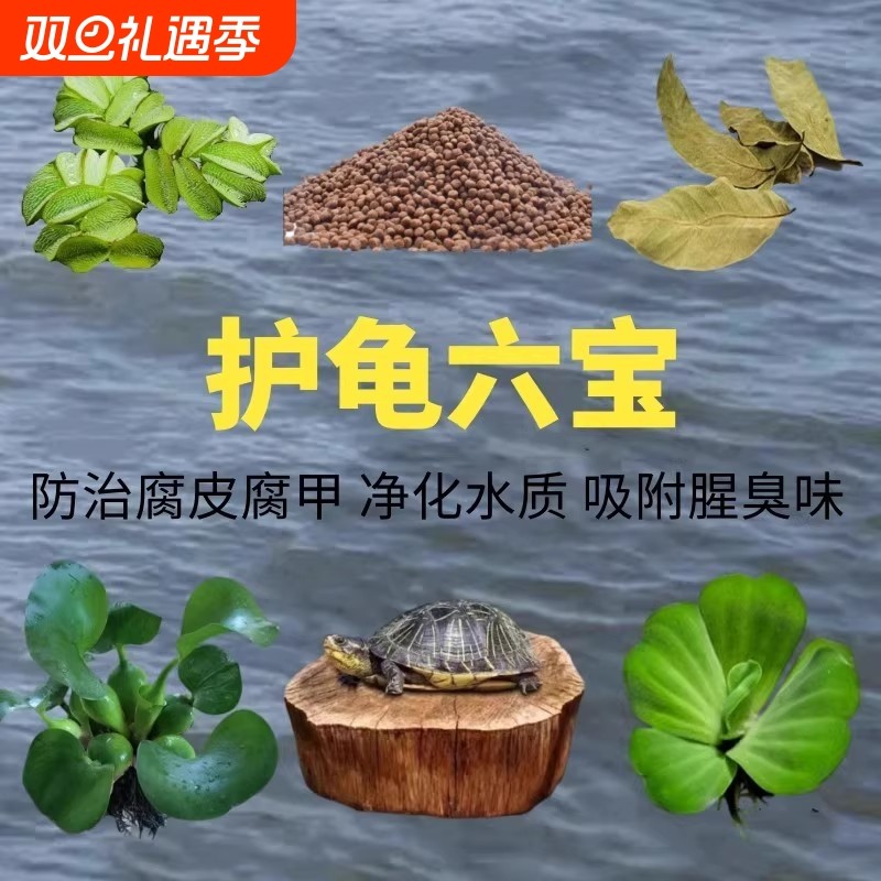 乌龟专用缸造景缸龙眼木晒台防甲防腐用品浮萍真水草套餐木头植物