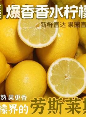 黄柠檬香水黄柠檬黄皮柠檬新鲜果园直发当季奶茶店商用批发