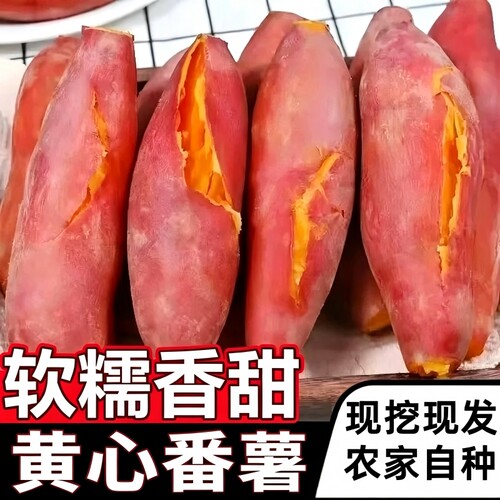 新鲜农家自种红薯沙地黄心蜜薯板栗小番烟薯糖心地瓜山芋香甜软糯