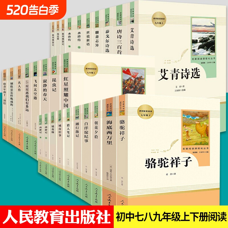 儒林外史简爱骆驼祥子海底两万里朝花夕拾西游记艾青诗选水浒传正版初