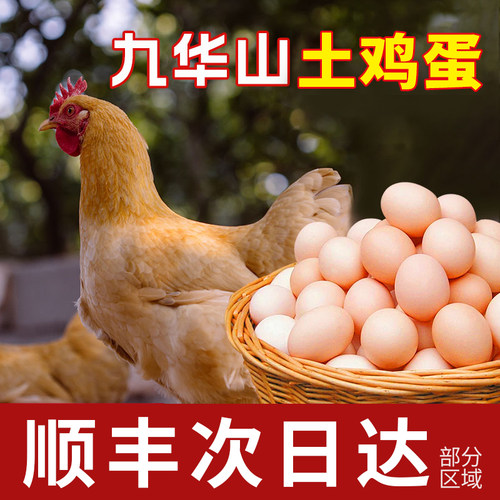 正宗九华山土鸡蛋农家整箱批发新鲜虫草蛋营养早餐谷饲蛋谷物配送