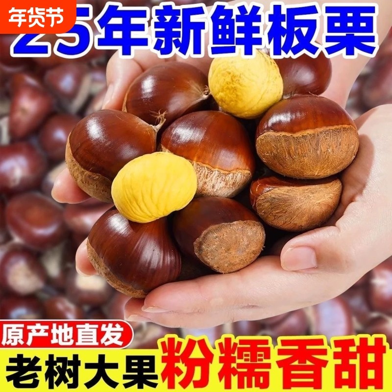 生板栗丹东板栗粉糯板栗农家现货生栗子野生批发蔬菜包邮鲜生去皮
