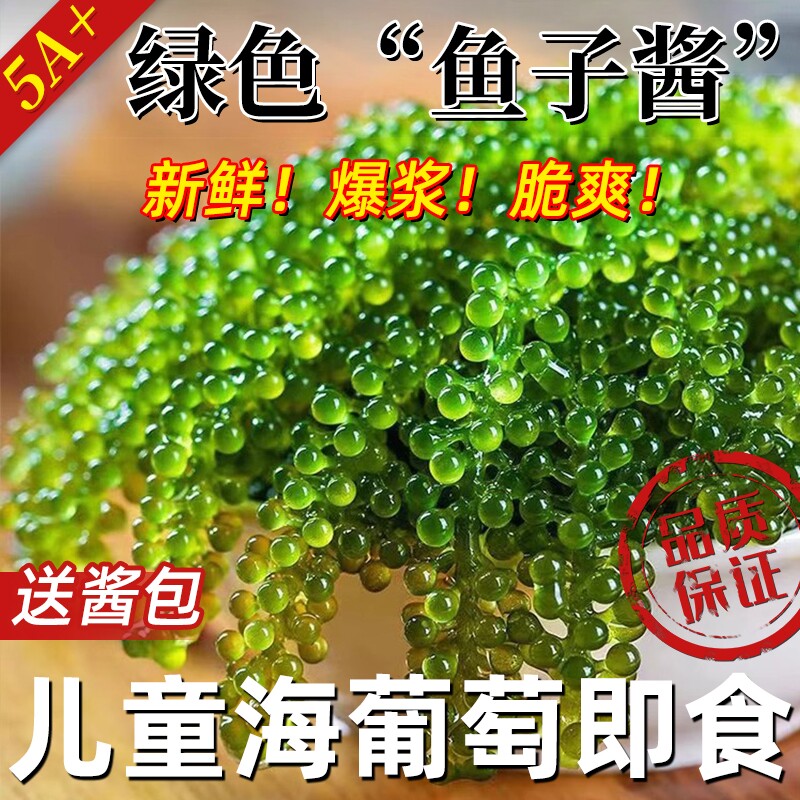 海葡萄即食盐渍海带蔬菜绿色鱼子酱海藻凉拌菜涮火锅食材健康新鲜
