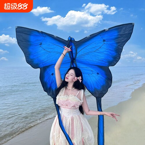 2025新款大型蝴蝶风筝情