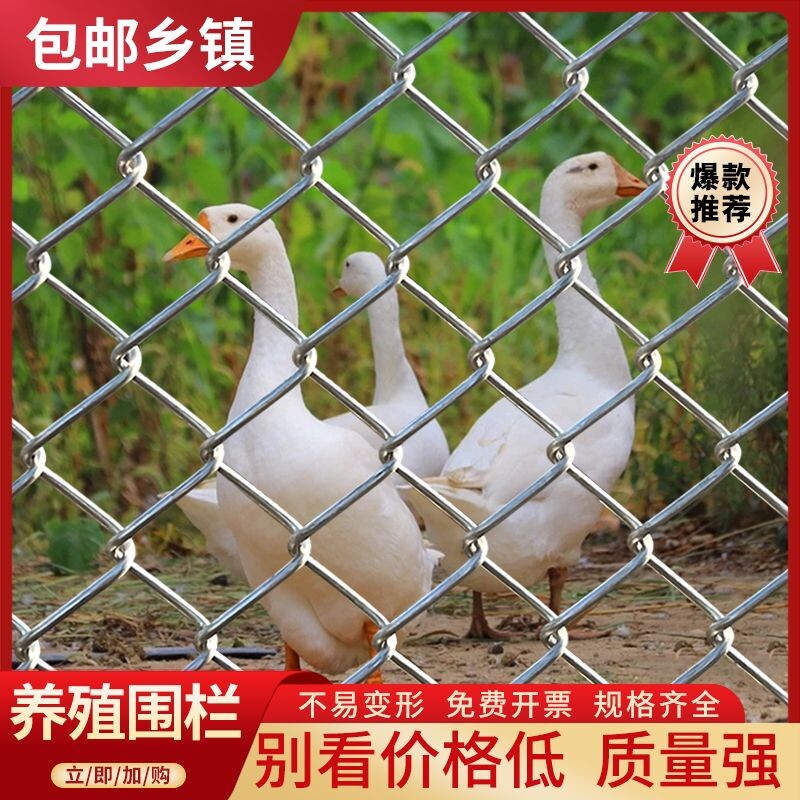 热镀锌围栏网养殖网钢丝网防护网养鸡铁丝网防锈加粗果园护栏狗笼