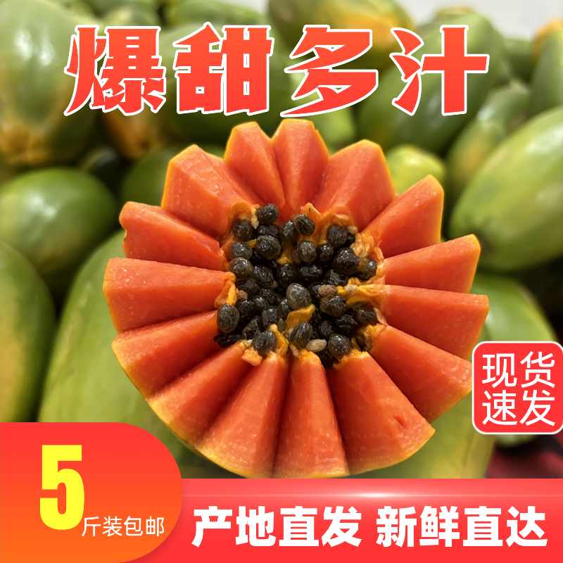 徐闻树上熟红心木瓜牛奶木瓜新鲜水果青木瓜牛奶产妇水果