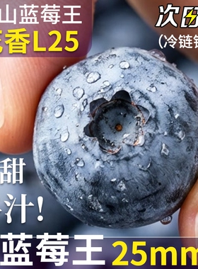 蓝莓新鲜水果孕妇水果超大果云南L25脆甜花香蓝莓顺丰包邮