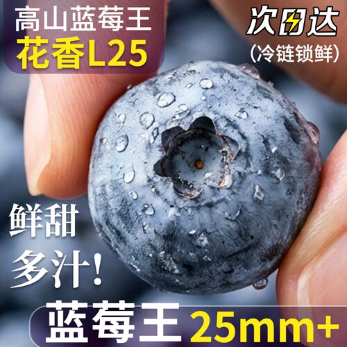 蓝莓新鲜水果超大果L25