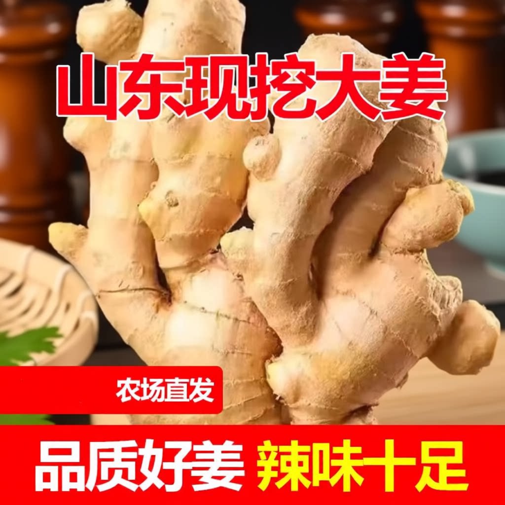 山东特产大黄姜新鲜无土辛辣味浓的生姜大块姜
