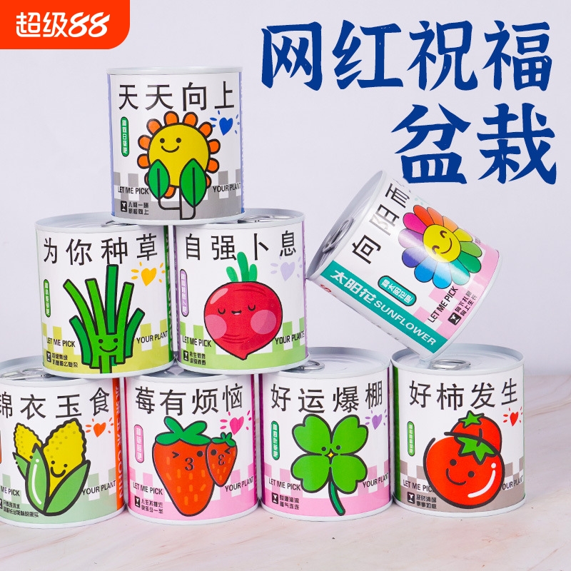 幼儿园小礼品学生diy种植儿童小盆栽地推礼物绿植罐头盲盒创意