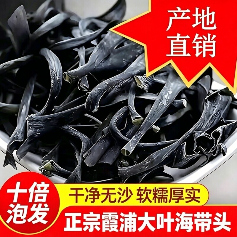 福建霞浦海带头干货特产海带头