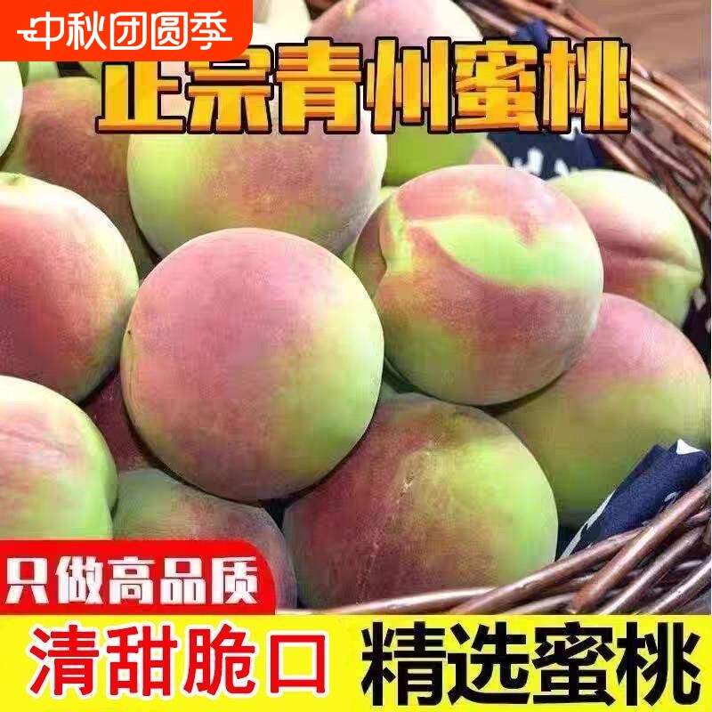 正宗山东青州蜜桃冬桃冬雪蜜桃新鲜当季现摘脆桃毛桃半离核水果