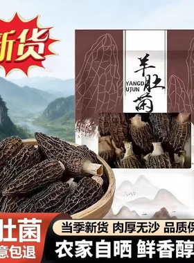 果官宣精品羊肚菌干货头茬新鲜煲汤滋补食材炖汤无干燥剂火锅手工