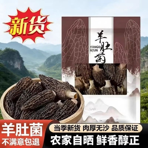 【果官宣】精品羊肚菌干货