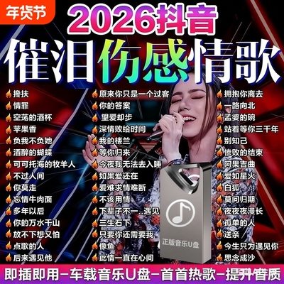网络伤感情歌精选热门车载音乐U盘抖音网红催泪神曲流行热歌曲