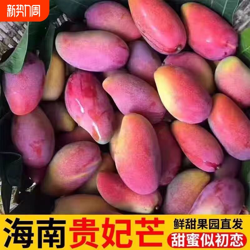 海南贵妃芒新鲜芒果水果树上熟红金龙辣椒甜心芒整箱9斤礼盒顺丰