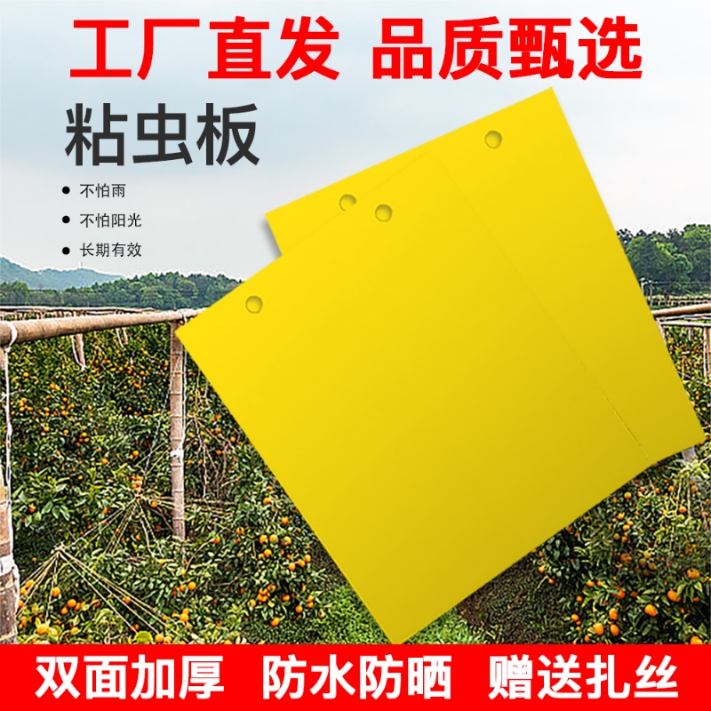 双面粘虫板驱虫神器|千人加购