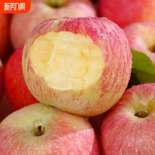 正宗红富士冰糖心新鲜苹果脆甜直发新鲜当季 水果彩箱 应季