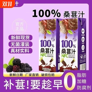 桑葚汁飲料NFC100%桑葚果汁原漿鮮榨0脂網紅無添加飲品