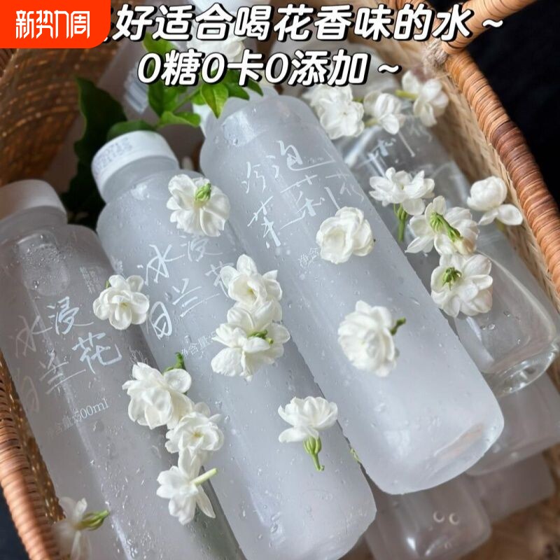 「冷泡茉莉花」广西冷泡茉莉花水饮料无糖0卡0脂茉莉花茶爆款清爽