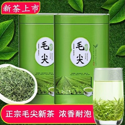 2024新茶嫩芽毛尖茶明前茶罐装