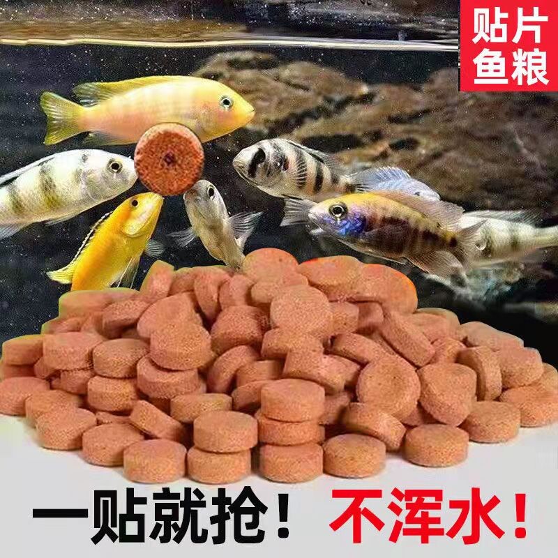 鱼食贴片小型热带鱼饲料孔雀鱼灯科鱼斗鱼金鱼红虫丰年虾通用鱼粮