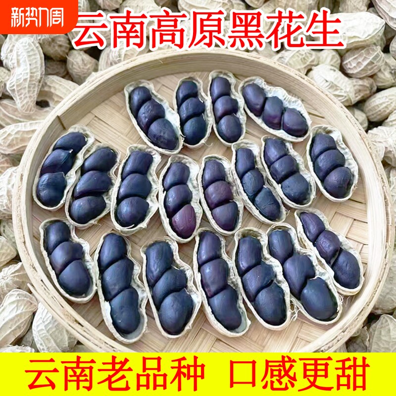 2025年新货云南小粒黑花生带壳富硒黑花生黑花生种黑皮花生米