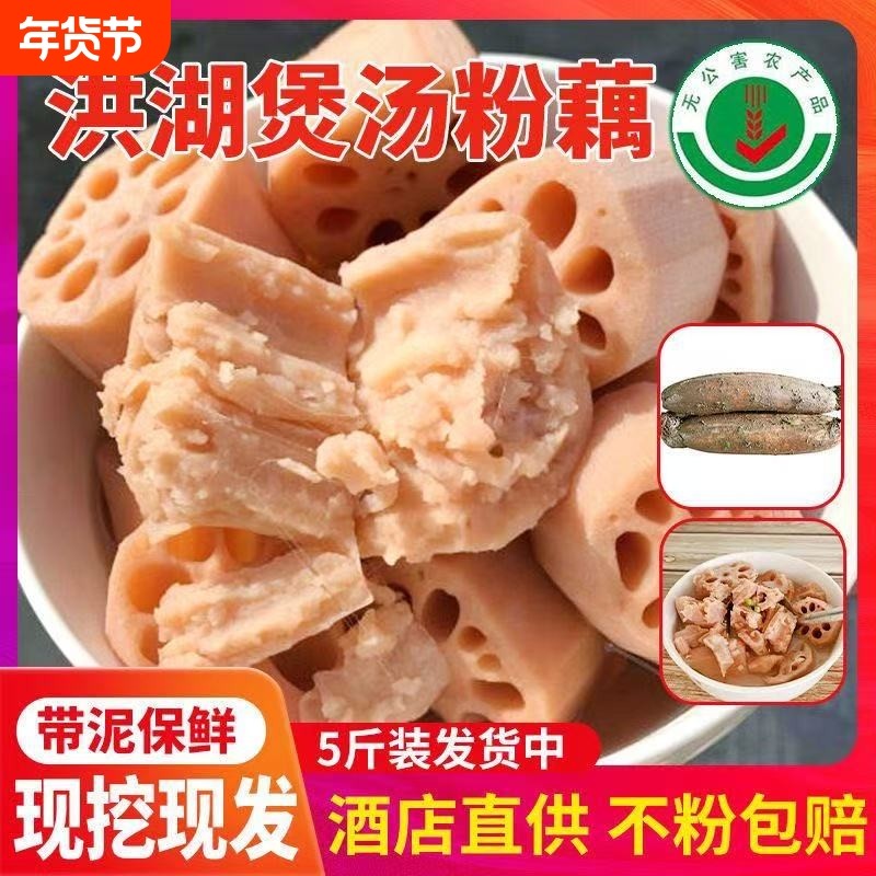 洪湖粉藕新鲜现挖粉藕煲汤糯九孔糯米藕湖北莲藕新鲜蔬菜加热即食,水产肉类/新鲜蔬果/熟食,莲藕,淘宝优惠券,粉丝福利购,淘宝优惠卷